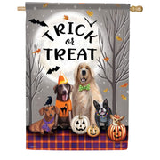 Carson Trick Or Treat House Flag