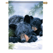 Carson Winter Nap House Flag