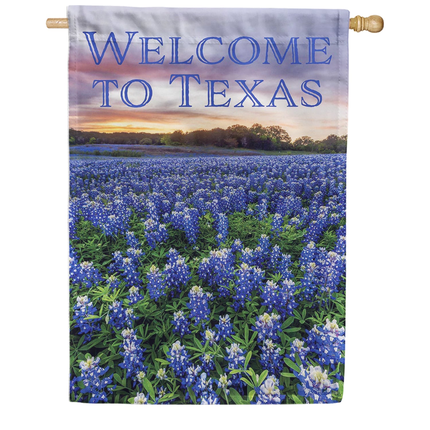 Custom Decor Welcome to Texas House Flag