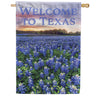 Custom Decor Welcome to Texas House Flag