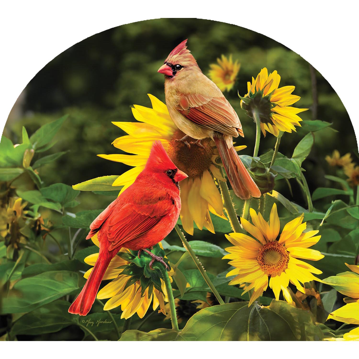 Custom Decor Cardinals Arbor Mate