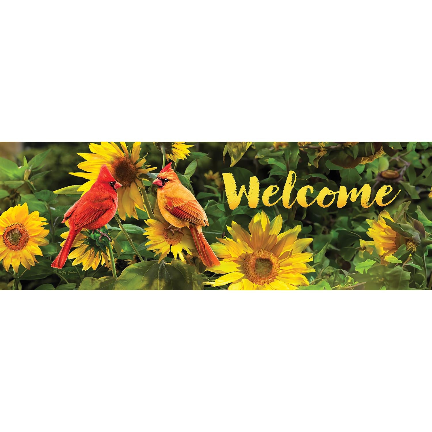 Custom Decor Cardinals Signature Sign