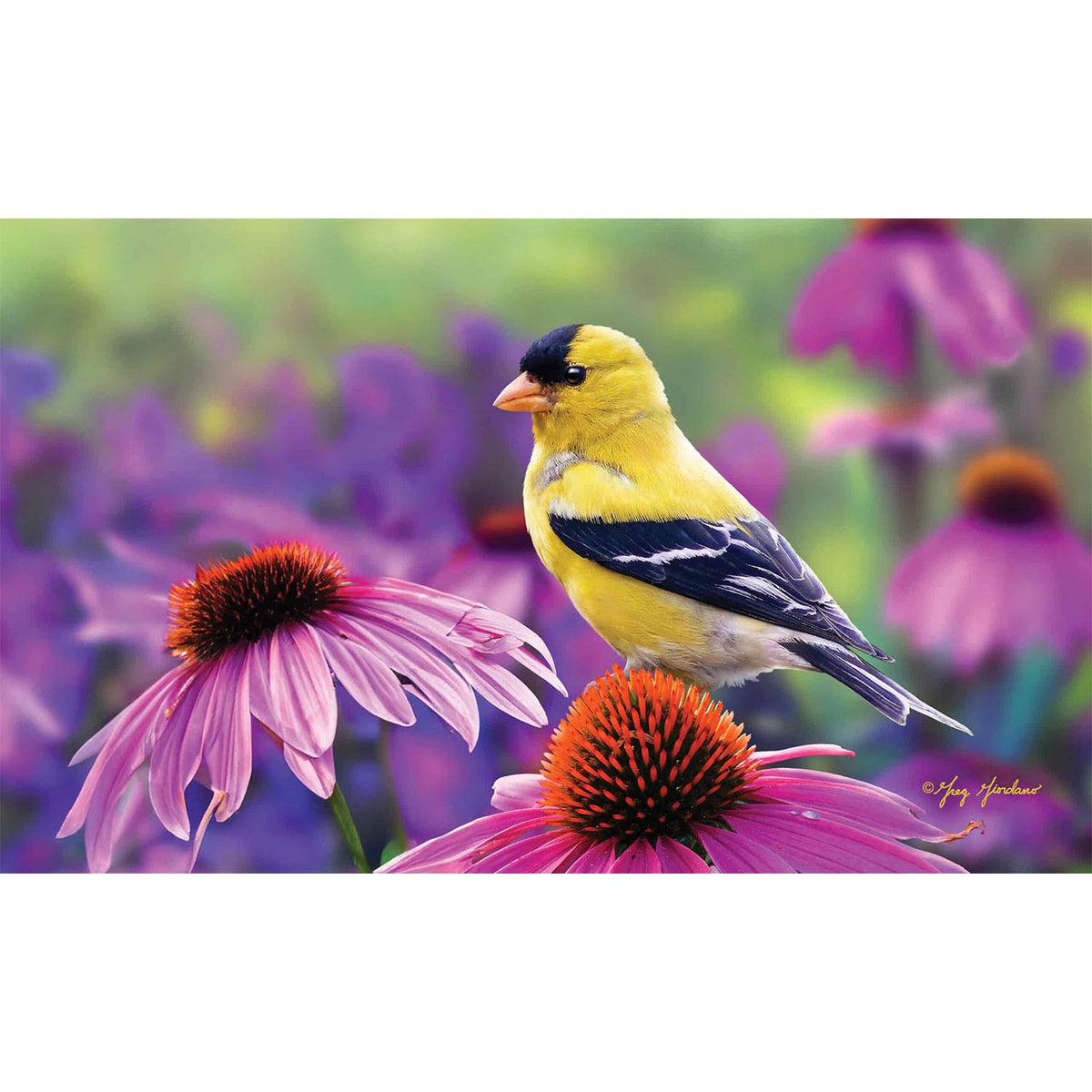 Custom Decor Goldfinch Glory Mat
