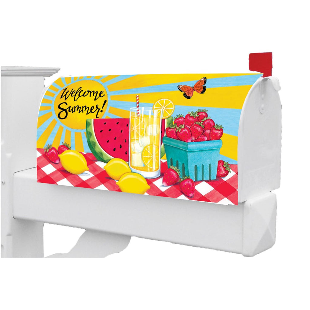 Custom Decor Sunny Watermelon Mailbox Makeover