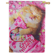 Evergreen Cat With Candy Heart Lustre House Flag