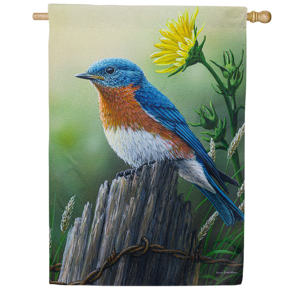 Evergreen Eastern Bluebird Suede House Flag
