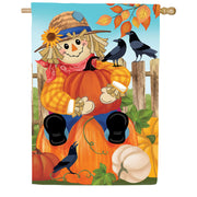 Evergreen Friends & Scarecrow Suede House Flag