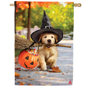 Evergreen Goldens With Broom Suede House Flag