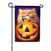 Evergreen Cat Jack O'Lantern Pumpkin Teeth Suede Garden Flag
