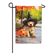 Evergreen Goldens With Broom Suede Garden Flag