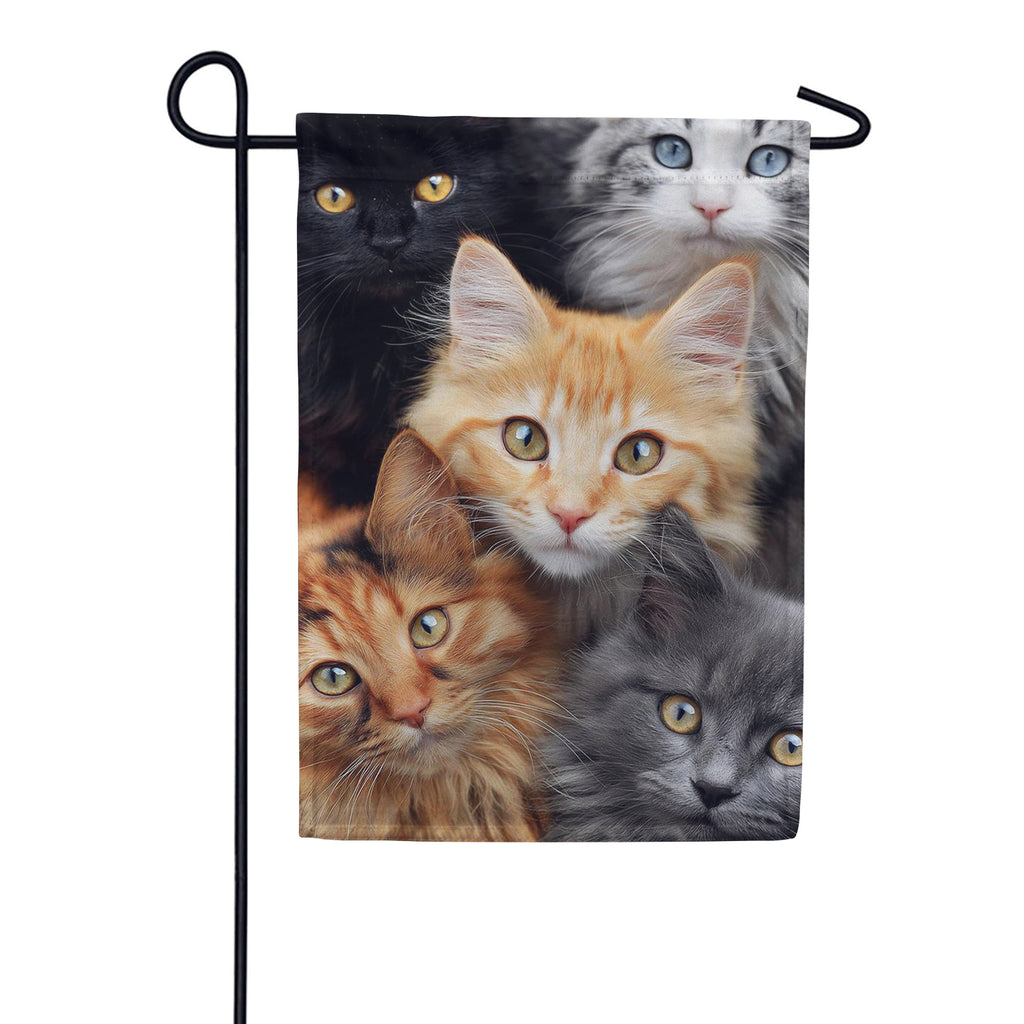 Evergreen Suede 2-Sided House Flag - CATS!