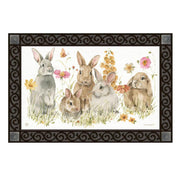 Hop on Spring Door Mat