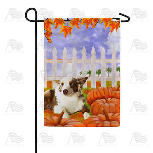 Dog With Pumpkins Garden Flag