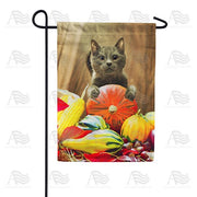 Cat With Pumpkin Garden Flag