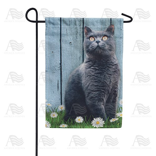 Gray Cat Garden Flag