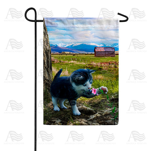 Kitten Discovers First Flower Garden Flag
