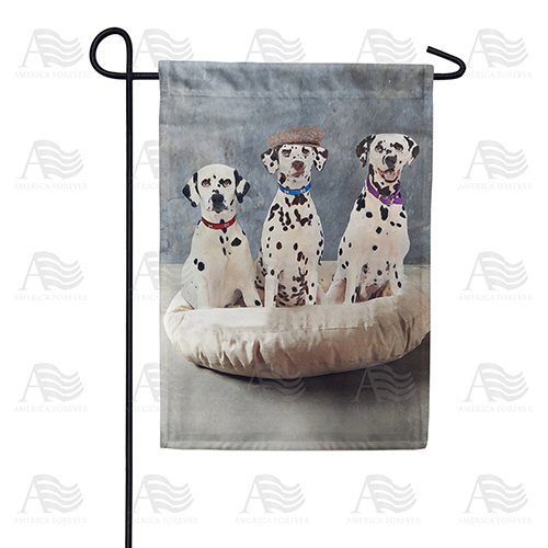 Dapper Dalmatian Trio Garden Flag
