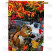 Squirrel At Waterfall House Flag