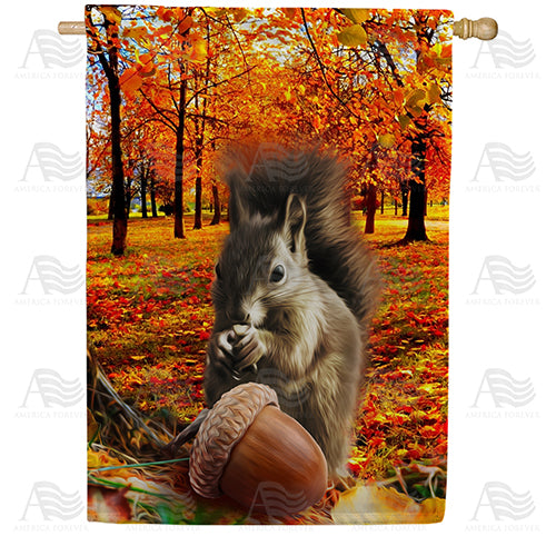 Fall Squirrel Finds Pumpkin House Flag