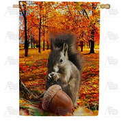 Fall Squirrel Finds Pumpkin House Flag