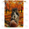 Fall Squirrel Finds Pumpkin House Flag