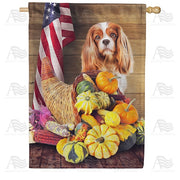 American Faithful Harvest House Flag