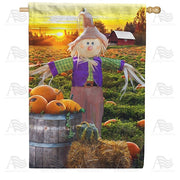 Smiling Scarecrow House Flag