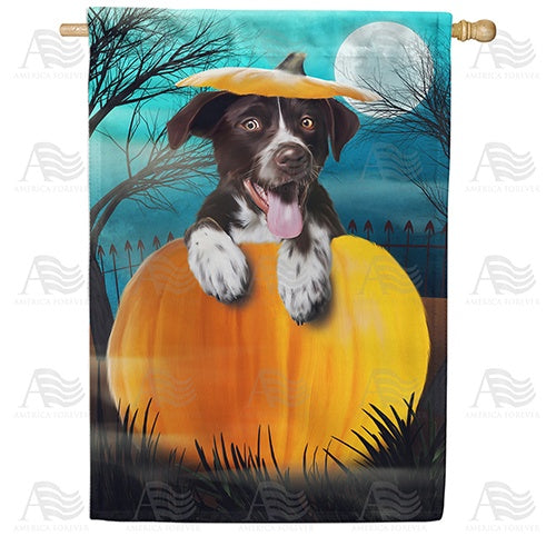 Pup In Pumpkin House Flag
