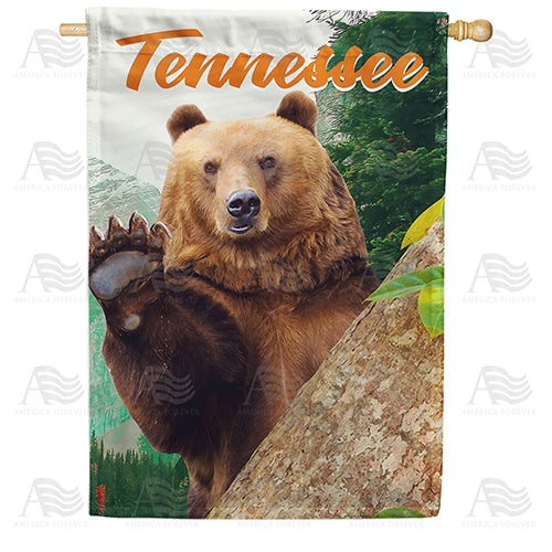 Tennessee-Hello From Great Smoky Mountains House Flag