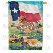 Texas, The Lone Star State House Flag
