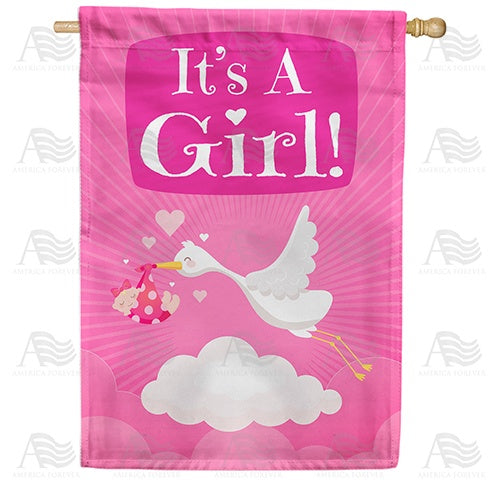 Baby Girl Delivery House Flag