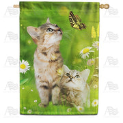 Spring Tabby Kittens House Flag