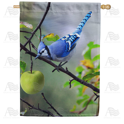 America Forever Blue Jay In Apple Tree House Flag