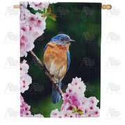 Bluebird In Cherry Tree House Flag