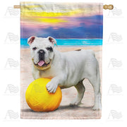 Beach Ball Bulldog House Flag