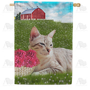 Cat Napping In Field House Flag
