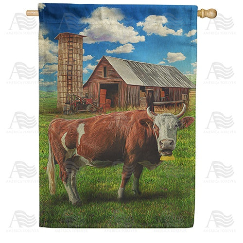 Old Hay Barn House Flag