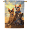 Beach Patrol House Flag