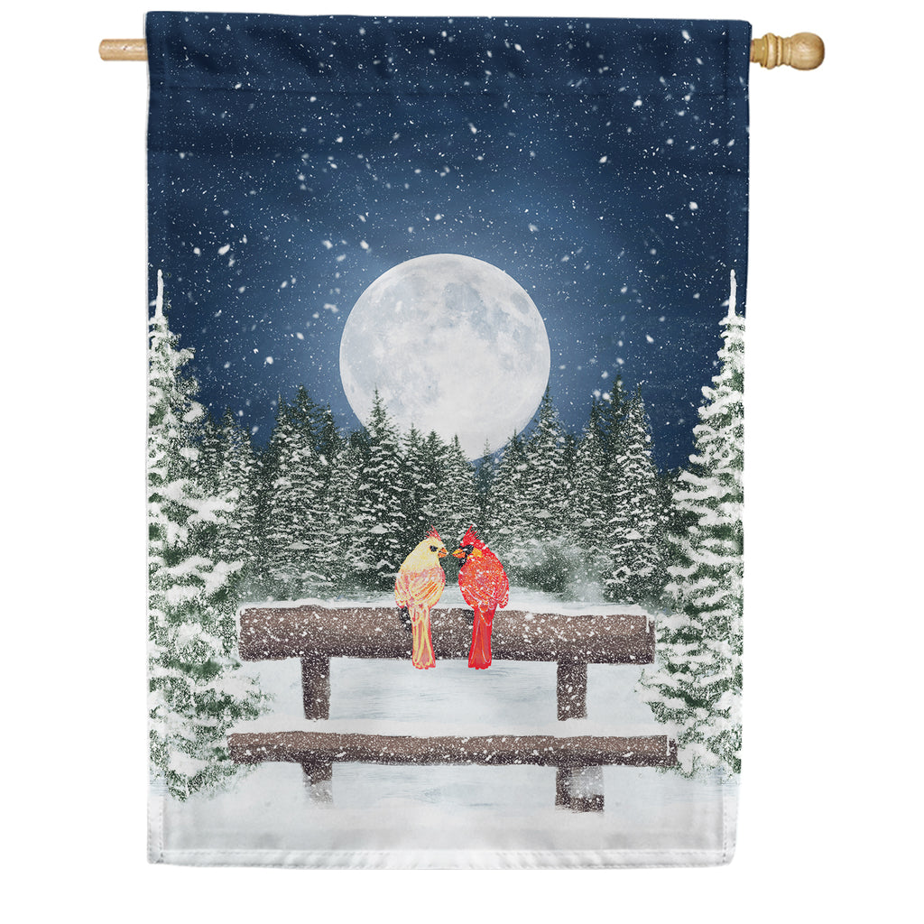 Winter Moon House Flag