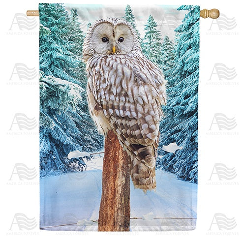Owl's Winter Perch House Flag