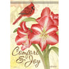 Christmas Amaryllis Dura Soft House Flag