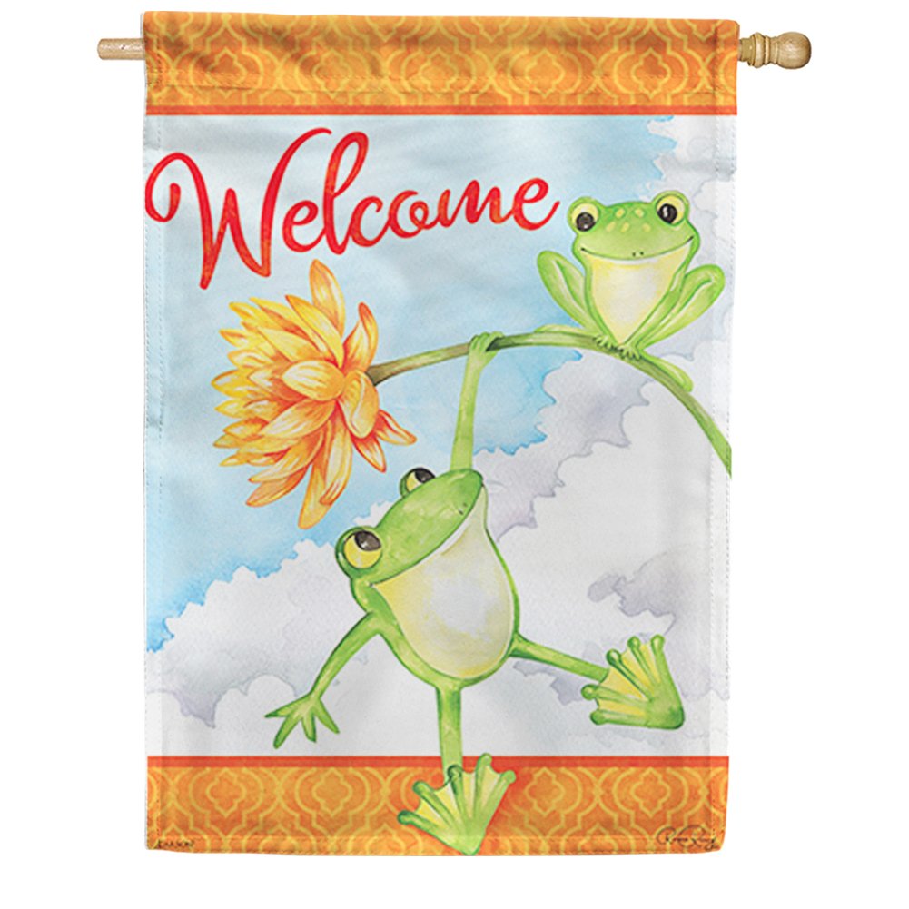 Frog Fun Dura Soft House Flag