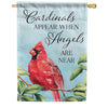 Cardinals Appear Dura Soft House Flag