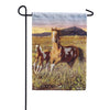 Wild Pinto Garden Flag